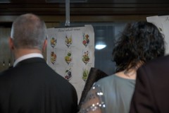 IMG_4240