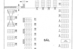 sal_1
